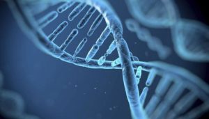 More about Stem Cell Therapy